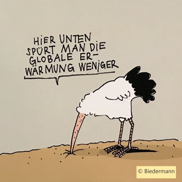 Klimawandel: Wissen in Handeln umsetzen