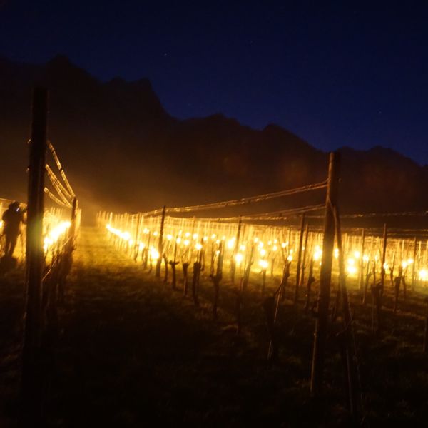 Feinstaubbelastung durch Rebbau-Frostschutzversuche